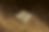 NOVI_SP240.png