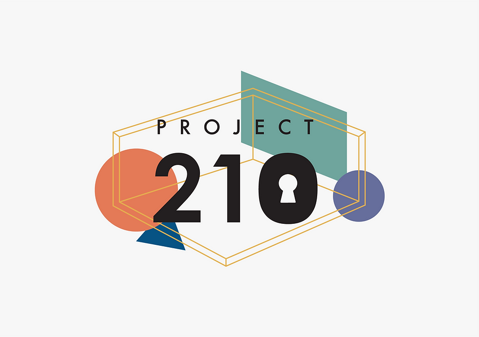 Project 210