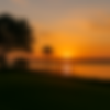 1151ee54-0a54-46d8-9a86-b716d8c8285a.png
