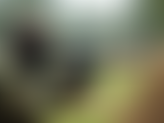 Celebra cumpleaños con Paintball en Heredia