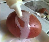 oeuf.jpg