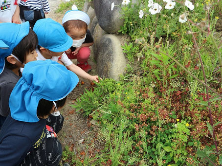 うさぎ組 遠足♪