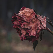 Desprecio por el atleta
