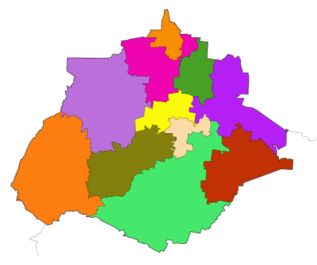 Nepotismo geográfico