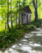 Shed on Boyd Hill Rd