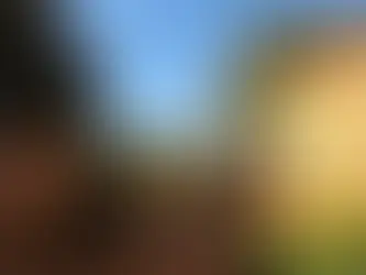 Promessa de 11 anos, asfalto no Nova Campo Grande começa neste semestre