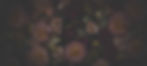 coven-banner.jpg