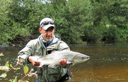 Saumon de l'Ellé