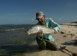 Gros bonefish vénézuélien
