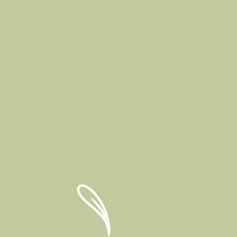 Keep Going and Keep Growing