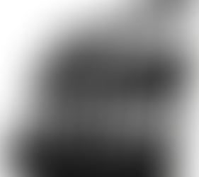 Take Action Every Day