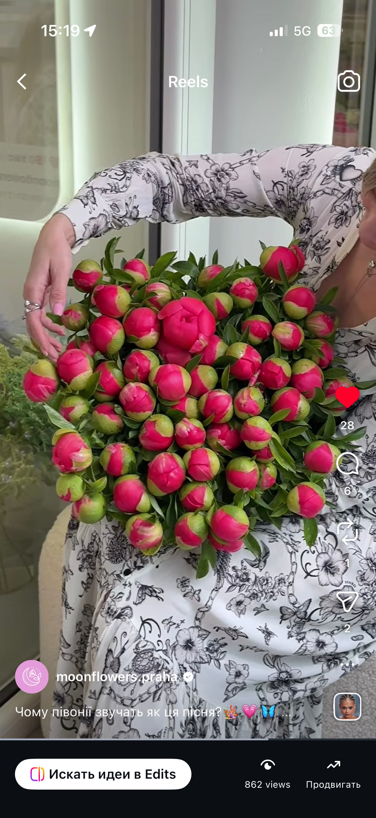 Coral peonies 