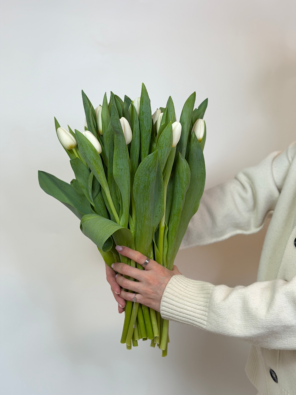 Thumbnail: 31 white tulips 