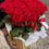 Thumbnail: Basket 51 red roses 