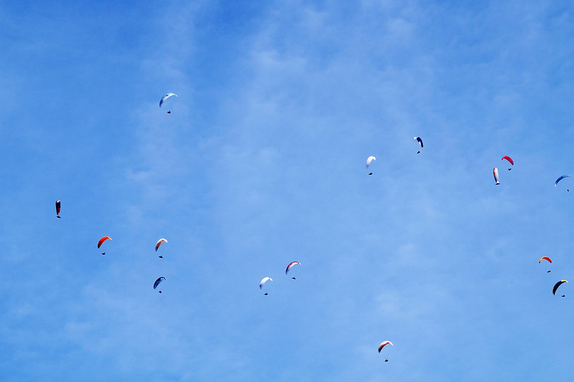 Many Parachutes