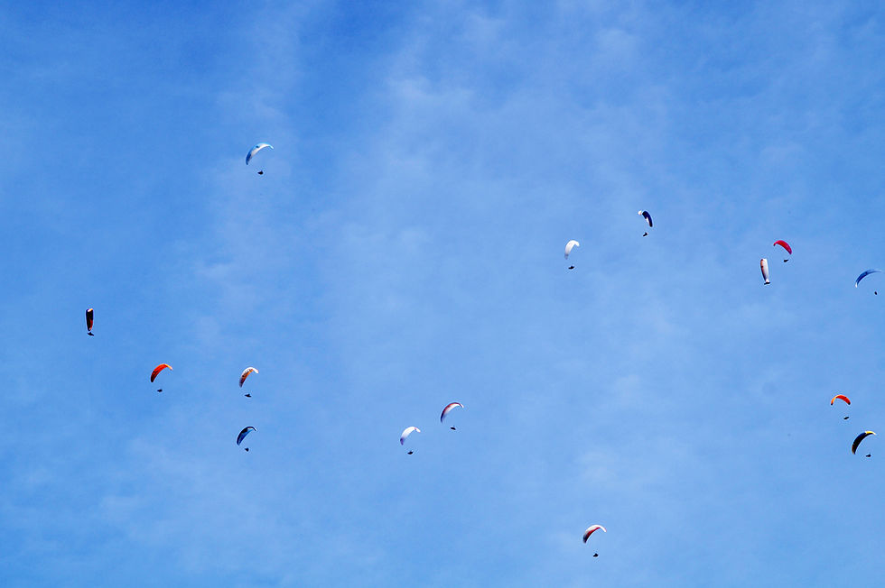 Colorful Paragliders Sky