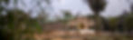 farm_edited.jpg