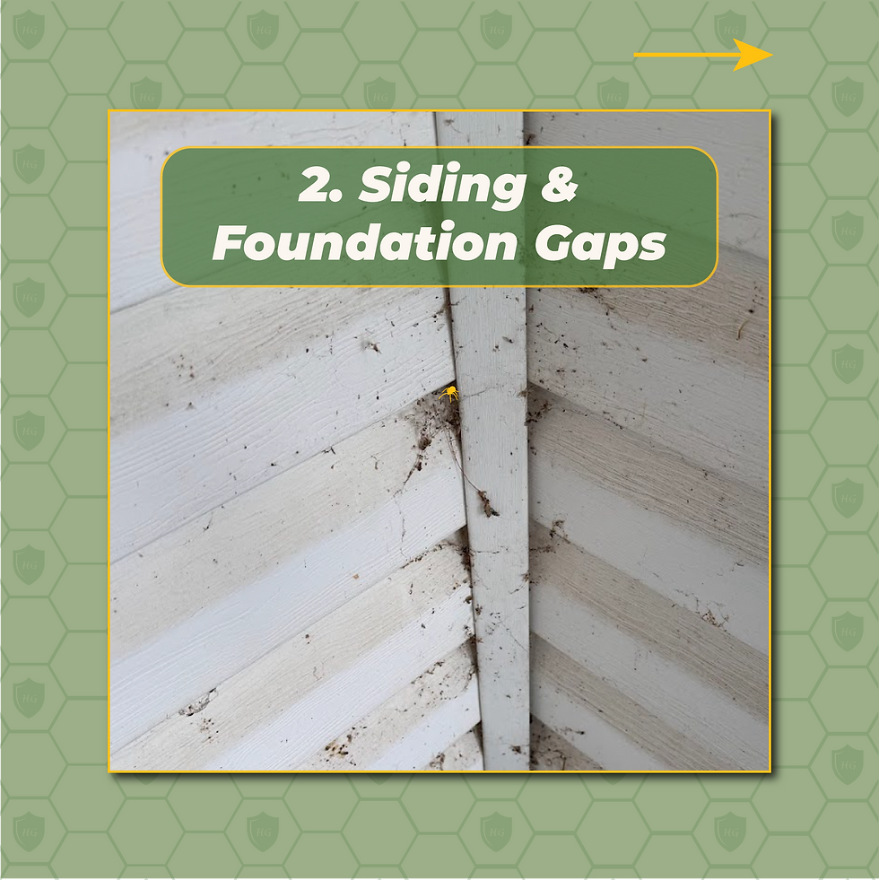 A close-up of a dirty crack in the exterior siding of a house, a common entry point for spiders.