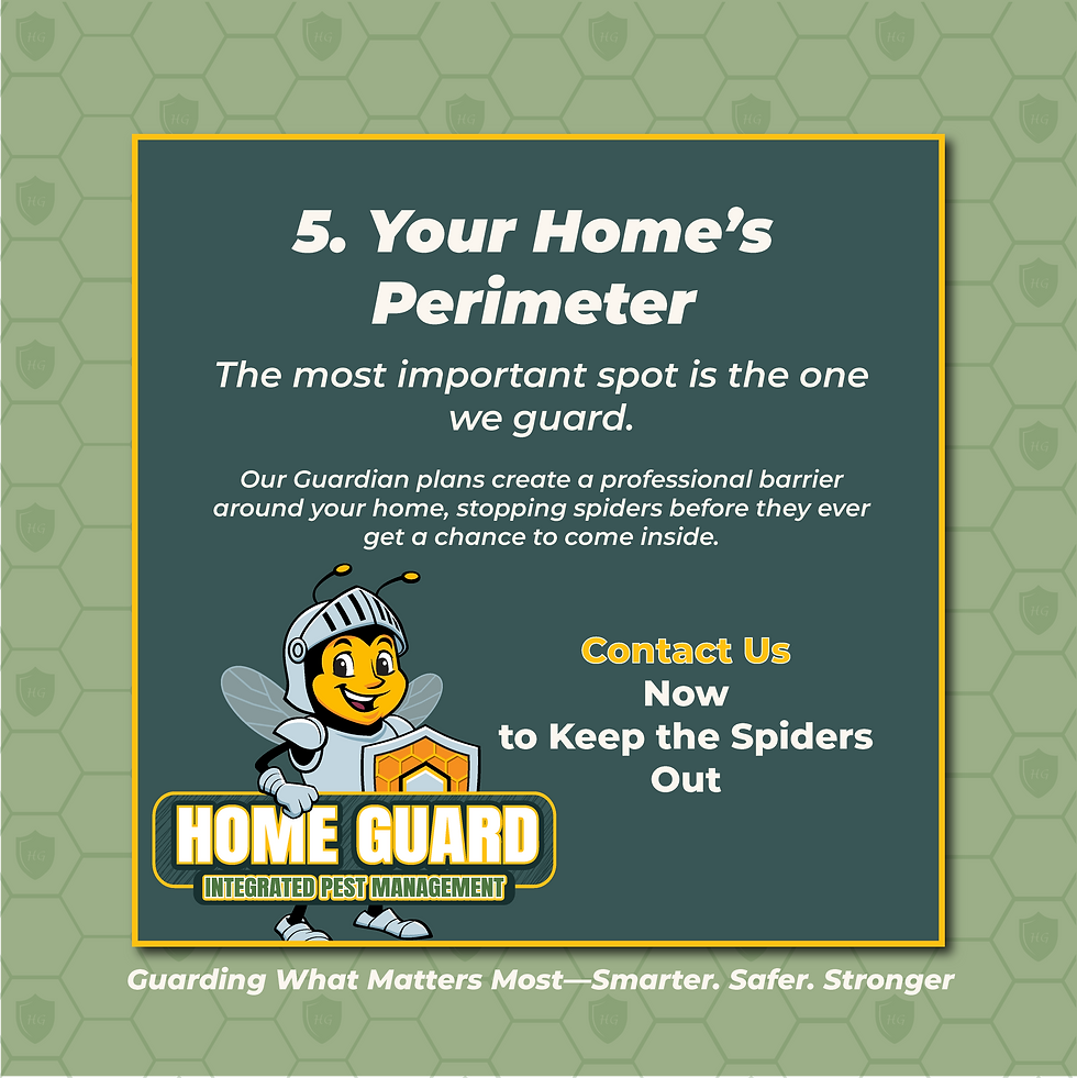 Home Guard IPM graphic about spider prevention. Text highlights that the home's perimeter is the most important spot to guard and that their Guardian plans create a professional barrier to keep spiders out. Features the company's bee mascot.