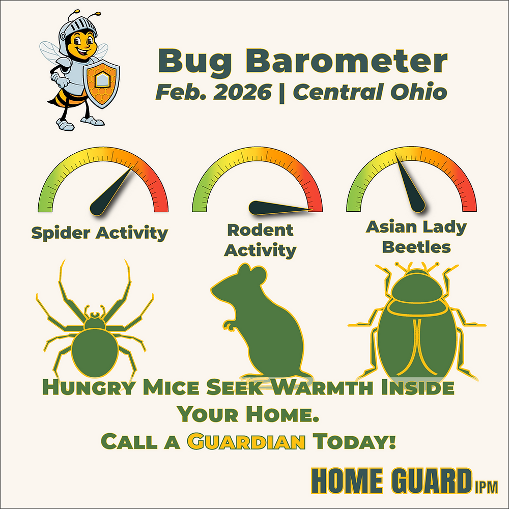 February Bug Winter Pest Control Central Ohio: The February 2026 Bug Barometer