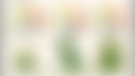 Home Guard IPM February 2026 Bug Barometer infographic for Central Ohio showing pest pressure levels: Rodent Activity at maximum level 10, Spider Activity at level 6, and Asian Lady Beetles at level 4, with the warning "Hungry Mice Seek Warmth Inside Your Home."