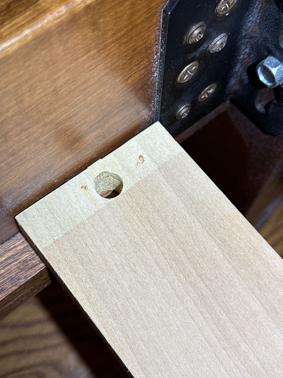 Technical field photograph showing neutralized bed bugs beneath a wooden bed slat following a professional Aprehend treatment, illustrating the success of bio-active biological interception.