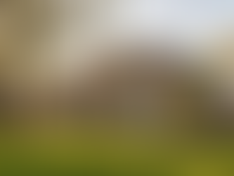 Spring pest prevention for a luxury New Albany, Ohio home highlighting the critical foundation-to-soil contact zone where subterranean termites and ants begin their spring recolonization.