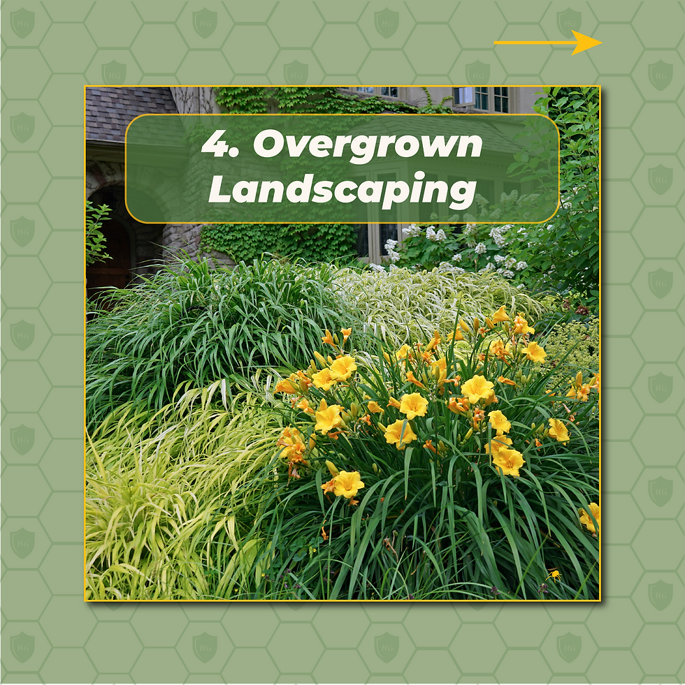 Lush, overgrown landscaping with yellow flowers and green bushes planted directly against a home's foundation.