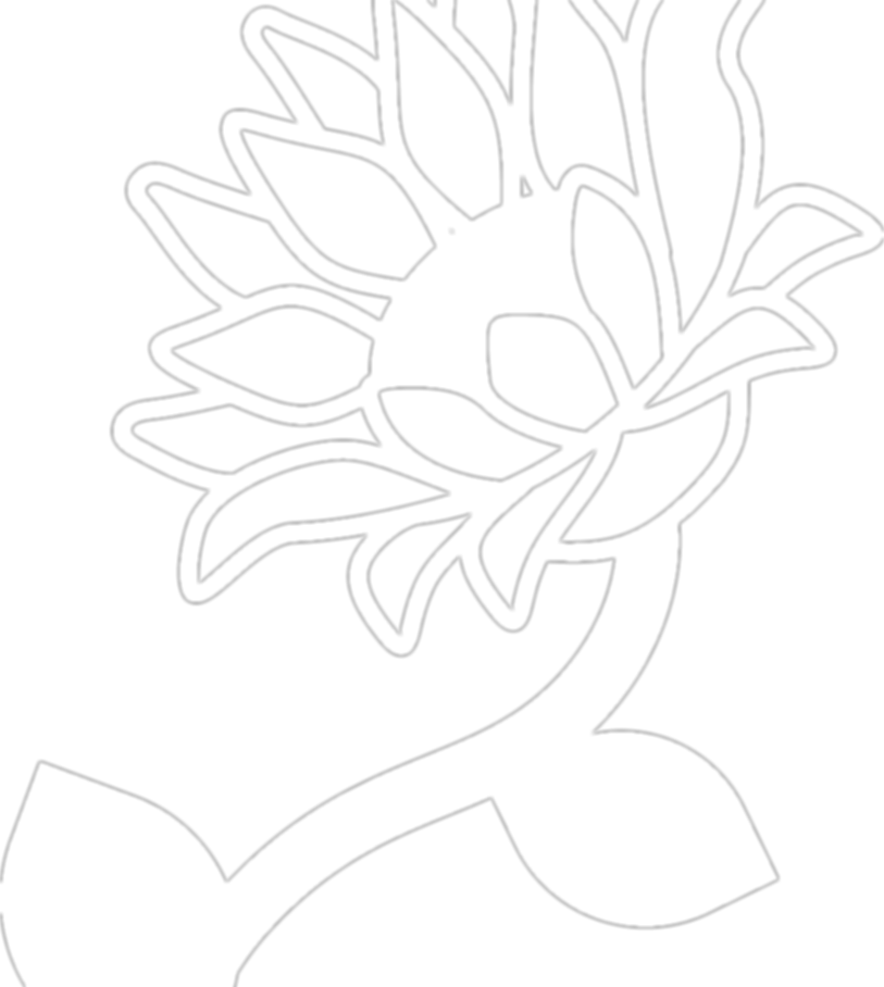 White Sunflower.png