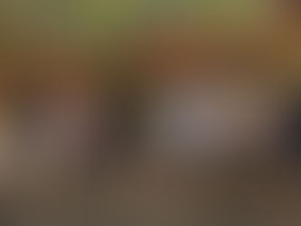 Kindergarteners' Field Trip to Rancho San Antonio