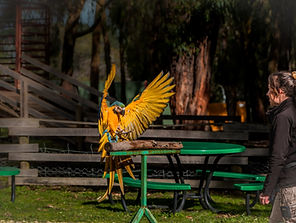 Photo 30-7-2025, 1 41 12 pm.jpg