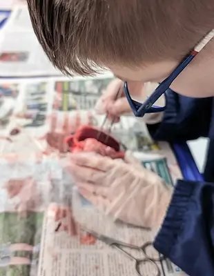 Heart dissection at STEM Zone
