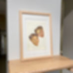 Thumbnail: Resting heads #1