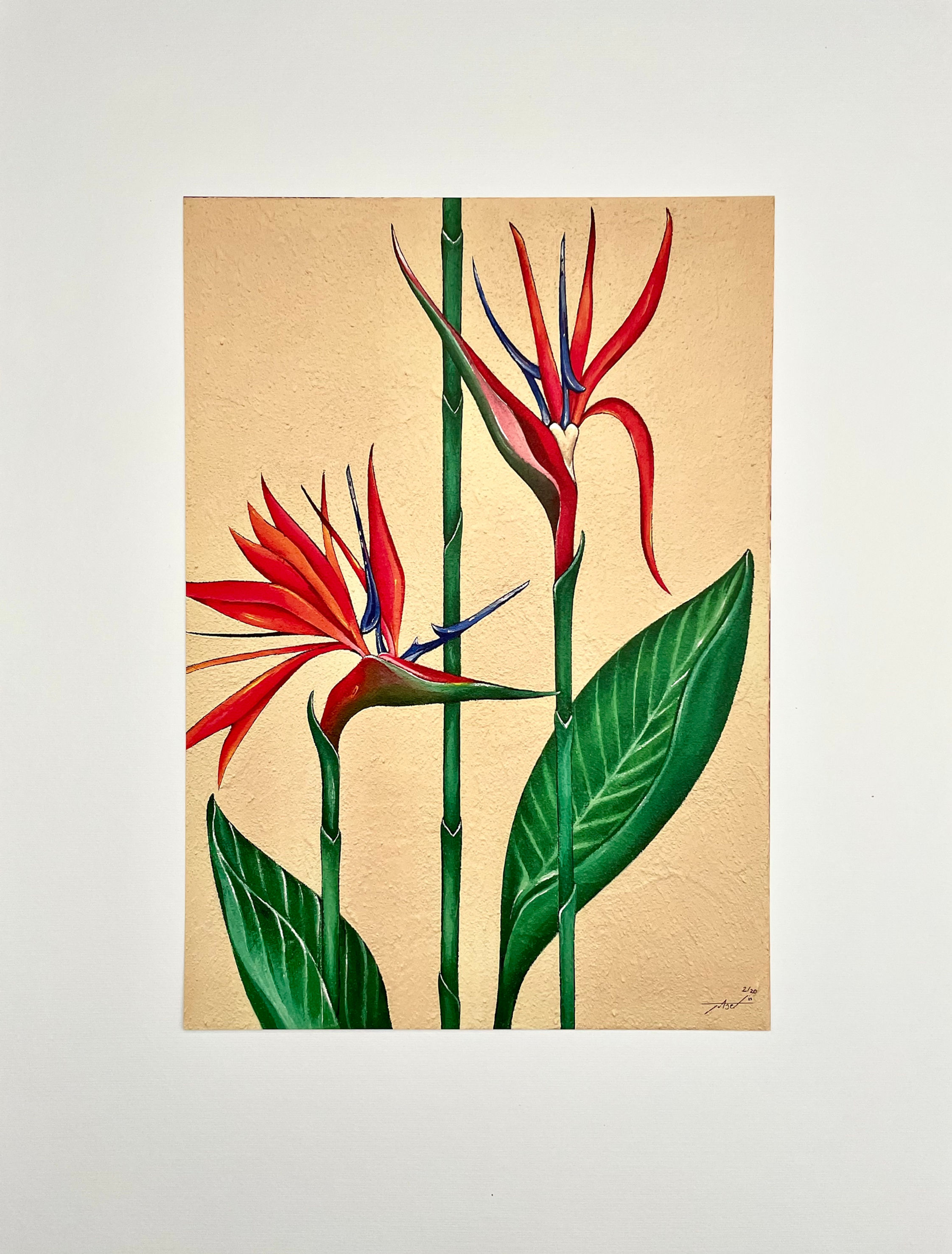 Birds in paradise A3 print gelimiteerde editie
