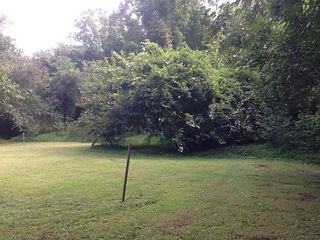    BEFORE(tether ball)   