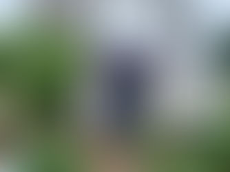 Crowdfunding campaign launched for the “The Fledge” project in Lansing