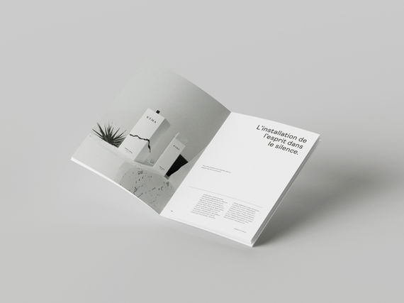 Mockup_DP_P1_2.jpg