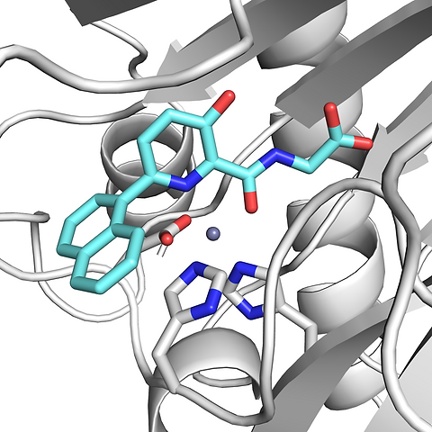 gr_abs_cco010-fto.png