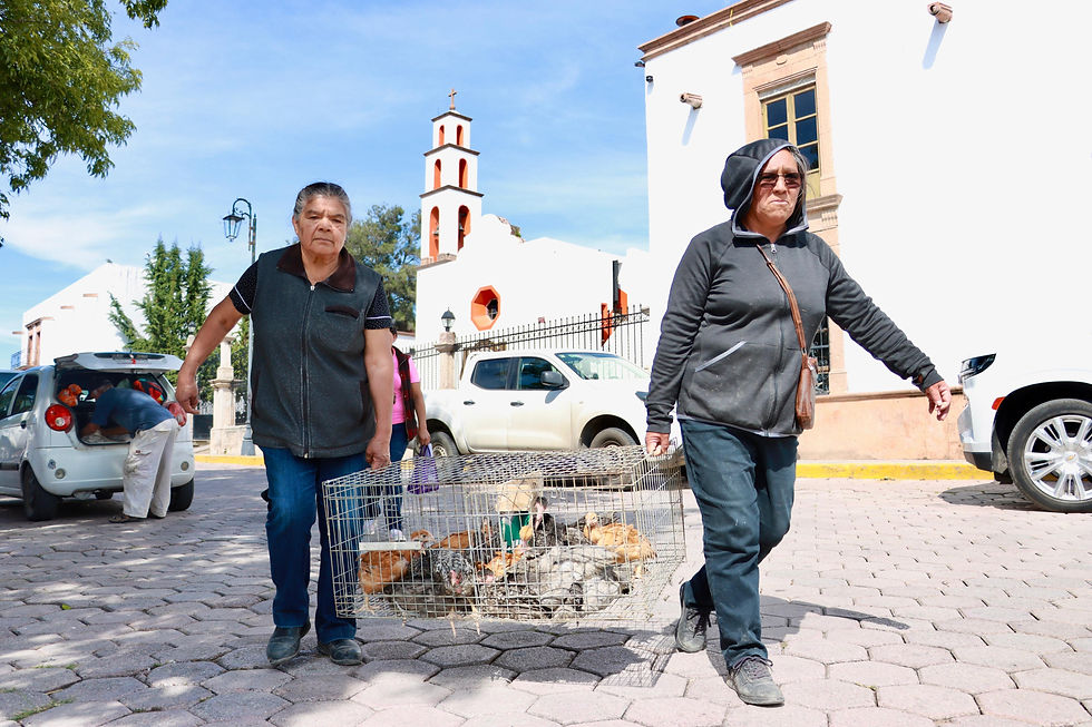 Hidalgo apuesta por el futuro del campo con oportunidades para jóvenes