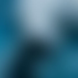 10 Things You Didn’t Know About Florida Manatees – and Where to See Them