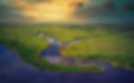 Florida Everglades