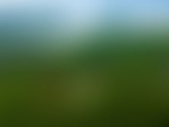 The Everglades Foundation Statement on Governor DeSantis’ State of the State