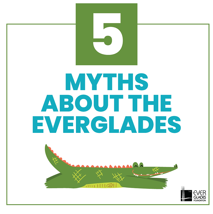 5 myths about the everglades