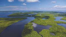 Governor DeSantis Signs FY26-27 Budget with $665 Million for Everglades Restoration