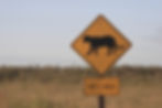 Panther Signal