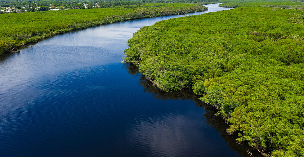 St. Lucie River in Florida. Photo by Robert Miller, Adobe Stock.
