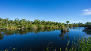 FY 2024-25 Governor's Budget Recommendation for the Everglades