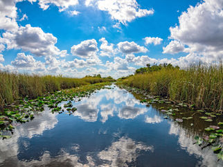 Federal Budget for Everglades Restoration News