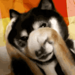 download.gif