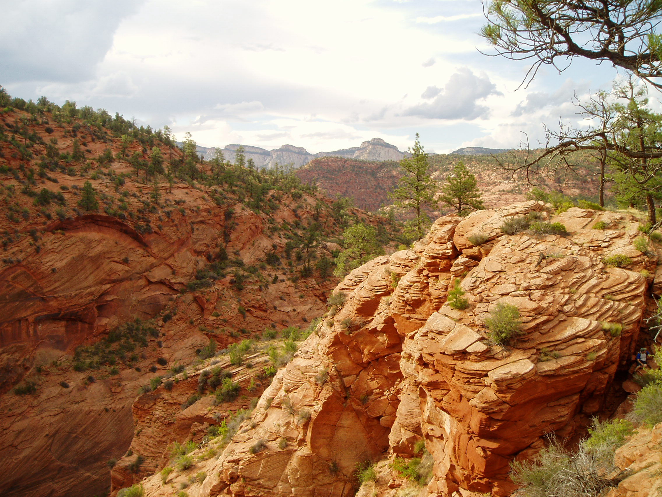 2019 Zion Rendezvous-Standard Option